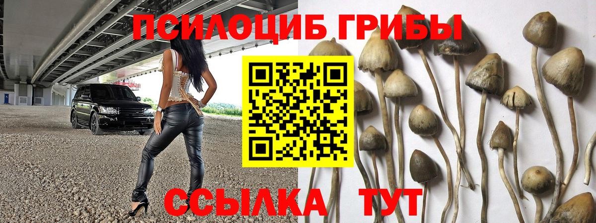 Галлюциногенные грибы прущие грибы Новодвинск